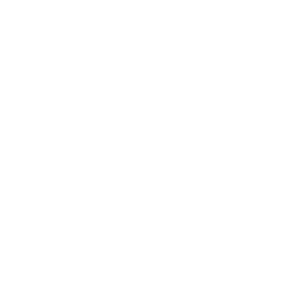 Application Support Services